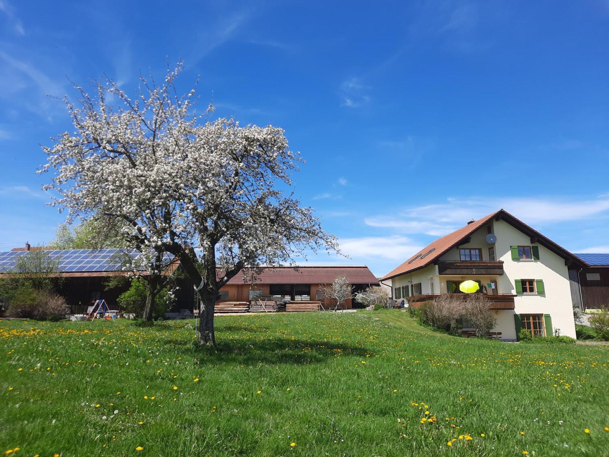 Apartamento Bauer Haug Dietmannsried Exterior foto